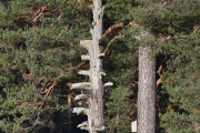 Jeg stod der i 10 minutter, men nå må jeg videre