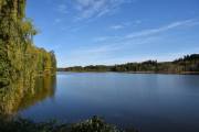 Jarenvatnet er en innsjø i Gran kommune på Hadeland, 201 moh. Innsjøen får tilløp fra elven Vigga i sydenden, og har utløp i nordenden, hvor Vigga renner videre mot Røykenvika i Randsfjorden. Nordøst for Jarenvatnet ligger tettstedet Jaren, og i sydenden ligger Gran - da vet du det, jeg siterte