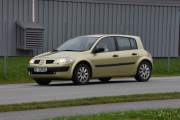 Så kjører det forbi en Renault Megane fra 2003, Megane familien er stor og jeg tror hun bare skulle sjekke hvordan det gikk med oss og vaflene