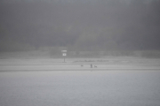 Noen går en morgentur med hundene sine på stranden der inne