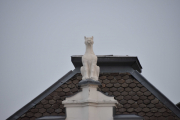 En katt, Tiger, Puma, Gepard eller Leopard? Vi holder dette åpent