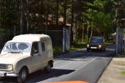 Gule lys er kult