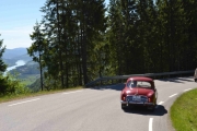 Renault Dolphin og natur