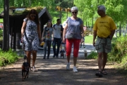 Her går stien for hundeeierne