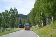 Den er faktisk i ekte tre