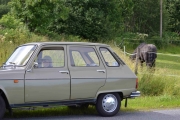 Renault 6 og en Hest