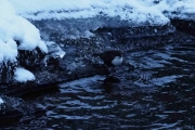 Knut 31 desember 2017 - Vi lader dronen og flyr høyt opp kl. 24.00 men hvor fikk han Fossekallen ifra?