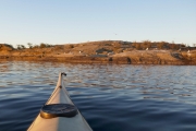 Knut 1 juli 2018 - Første dag i Sandefjord med kano og fugler
