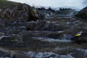 Knut 11 april 2019 - Vintererla på Skarselva