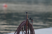 Knut 25 mai 2019 - Linerla ved brygge-vannkranen i Sandefjord