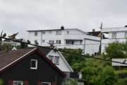 Morten 22 juni 2020 - 14 fugler på Høyenhall