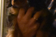 Morten 19 desember 2020 - Ny hund på Høyenhall