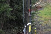 Morten 20 desember 2020 - Ekornet på Høyenhall, det som kan være litt skummelt med det, er at det her kan bli et leirras
