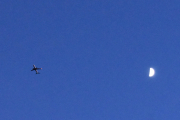 Morten 12 april 2019 - Stort fly og månen over Høyenhall