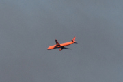 Morten 12 september 2019 - Stort fly over Høyenhall