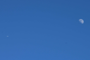 Morten 14 april 2019 - Stort fly og Månen igjen
