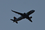 Morten 16 september 2019 - TAP Air Portugal i kveldssolen