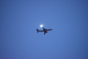 Morten 17 januar 2019 - Stor fly over Grønland