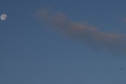 Morten 19 august 2019 - Stort fly, månen og fuglen over Høyenhall