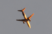Morten 20 september 2019 - Stort fly over Ekeberg på kvelden