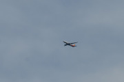 Morten 24 juni 2019 - Stort fly over Hakadal