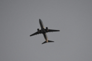 Morten 5 januar 2019 - Stort fly over Høyenhall