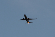 Morten 5 januar 2019 - Stort fly over Høyenhall