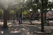 Strandlivet er over og Lasse er på leting etter by-duer, og jaggu finner han tre stykker