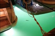 Her dokumenterer Amanda og Martin en fisk i vannet også, ikke dårlig det