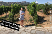 Tar jeg ikke feil så er de på en kjent vingård Cantine Surrau i Italia