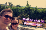 Jeg tror også at Maiken og Kim storkoser seg på vingården, og det skal bli spennende å se om Maiken blir igjen på gården
