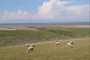 Amanda og Martin har det bra, de er nå i Tyskland med fin vær og tar bilder av Sauer!