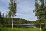 Stensrudtjern har en gul-brun farge på vannet grunnet mye skog og myr rundt. Bunnvannet blir sjelden sirkulert, og inneholder en del salter og noe hydrogensulfid. Her fins fisker som storvokst suter og karuss