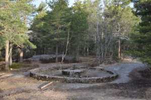 Kort-tur gjennom Ekebergskogen og Svartdalsskogen 2021