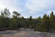 Vi starter med å gå inn i Ekebergskogen ved Brannfjell som på sitt høyeste ligger 207 meter over havet. Her inne skal vi finne spor etter flere husmannsplasser og gamle militære installasjoner fra første verdenskrig blant annet