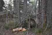 Det skal være rester av husmannsplasser her også et sted, men dette er nok ikke en av dem. Hva de kubbene skal brukes til vet ikke jeg, men du har noen bålplasser her