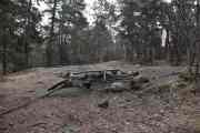 Her har vi enda en bålplass, nesten like mange her som i Ekebergskogen