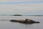 Med tungt hjerte peker vi nesa hjemover mot Oslo, men først innom Tofte brygga