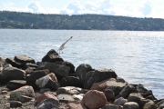 Onsdag Holmsbu (9)