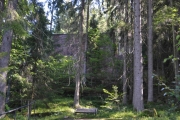 Tirsdag Holmsbu (40)
