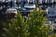 Tirsdag Holmsbu (6)