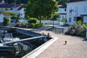 Tirsdag Holmsbu (7)
