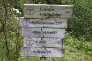 Istedenfor og nevne alle navnene tar jeg et bilde