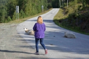 Puh, vi er i gjennom og nå må veien ryddes for sauer