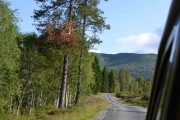 Nå flater landskapet seg litt ut