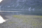 Tidevannet kommer innover