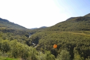 Fantastisk natur