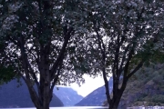 Sognefjorden på sitt beste