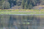 Klarer ikke og få skarpere bilder og nå ble det plutselig stille igjen