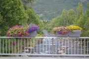 Elven nedover med blomster over alt